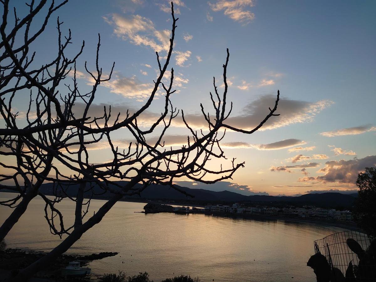 Skizenas Waterfront Apartments Haraki Dış mekan fotoğraf