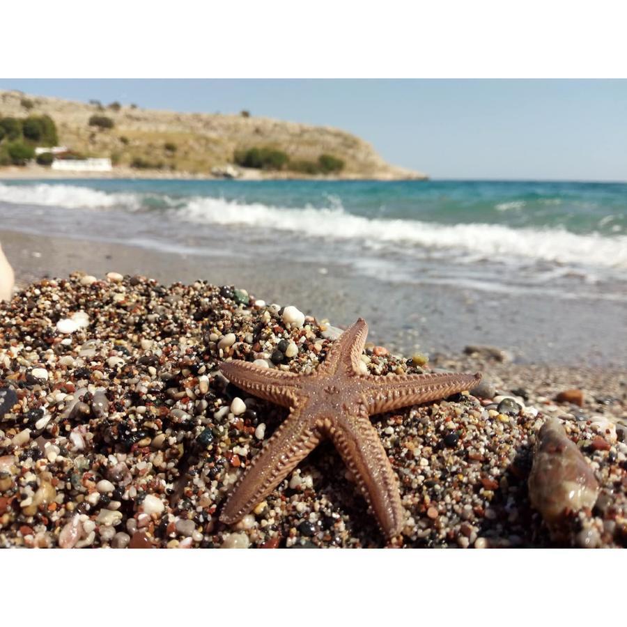 Skizenas Waterfront Apartments Haraki Dış mekan fotoğraf
